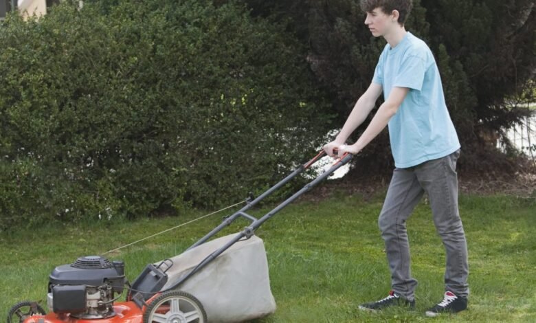 Ai me contó erróneamente sobre el trabajo infantil de Elon Musk en Garden: esta es una razón importante en el día del trabajo de parto. Ai me contó erróneamente sobre el trabajo infantil de Elon Musk en Garden: esta es una razón importante en el día del trabajo de parto.