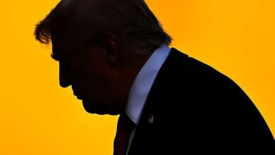 Trump exige a la jefa de asuntos globales de Microsoft Fire, Lisa Monaco