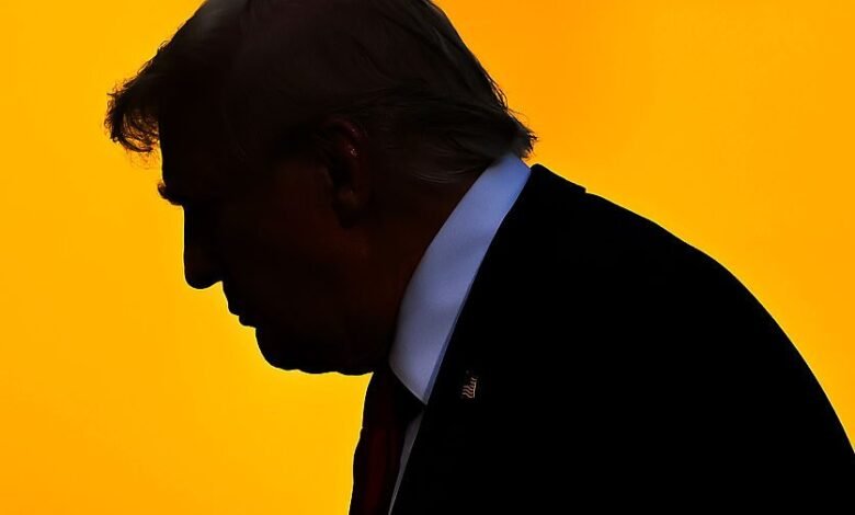 Trump exige a la jefa de asuntos globales de Microsoft Fire, Lisa Monaco