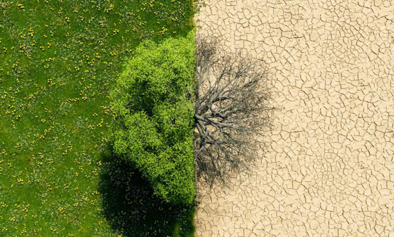 Soy científico climático: el calor está destruyendo las vacaciones de mi familia. Soy científico climático: el calor está destruyendo las vacaciones de mi familia.