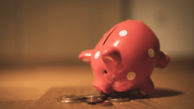 Ridge Capital Solutions: una mirada integral a una plataforma de negociación de IA de múltiples estrategias