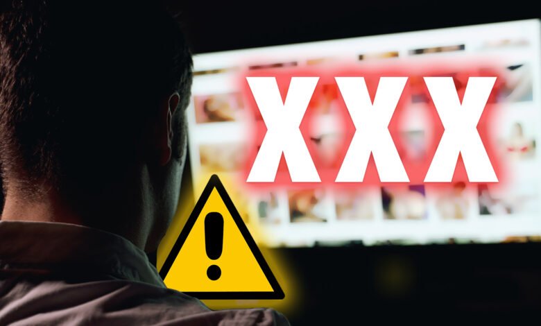 La sonda principal lanzada a 22 sitios porno utilizados por 8 millones de británicos durante los controles de edad