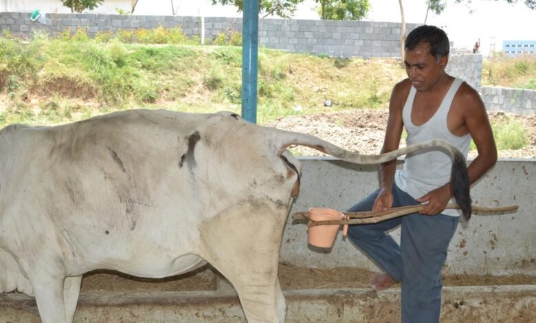 De leche a fertilizante hasta ahora