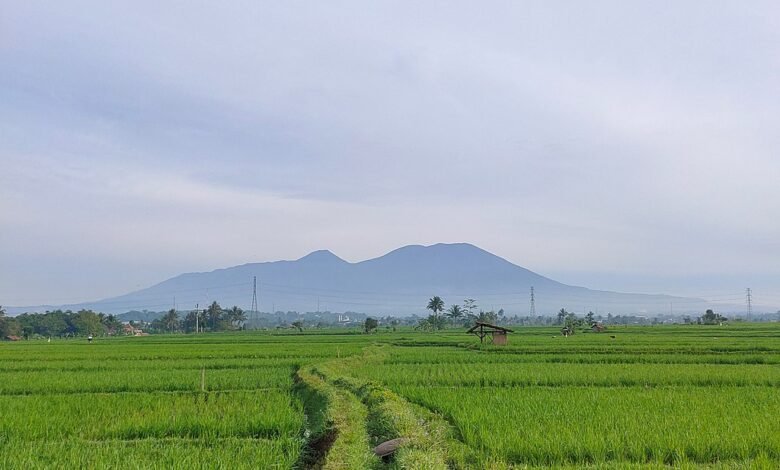 First Gen (EDC) se aventura en Indonesia con estrategia de inversión geotérmica
