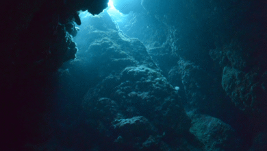 NOAA, FURGRO EQUIPO para acelerar el mapeo del océano profundo