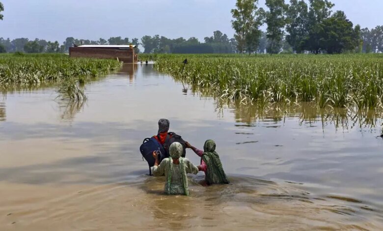 IMD predijo que habría lluvia normal en septiembre, el riesgo de cultivos aumentó. IMD predijo que habría lluvia normal en septiembre, el riesgo de cultivos aumentó.