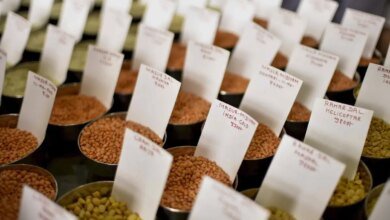 ‘Reducir la tasa de GST para acelerar el cambio en alimentos que contienen’