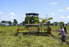 Agricultura inteligente para aprovechar la tecnología para empoderar a los agricultores indios