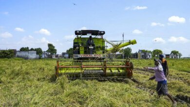 Agricultura inteligente para aprovechar la tecnología para empoderar a los agricultores indios