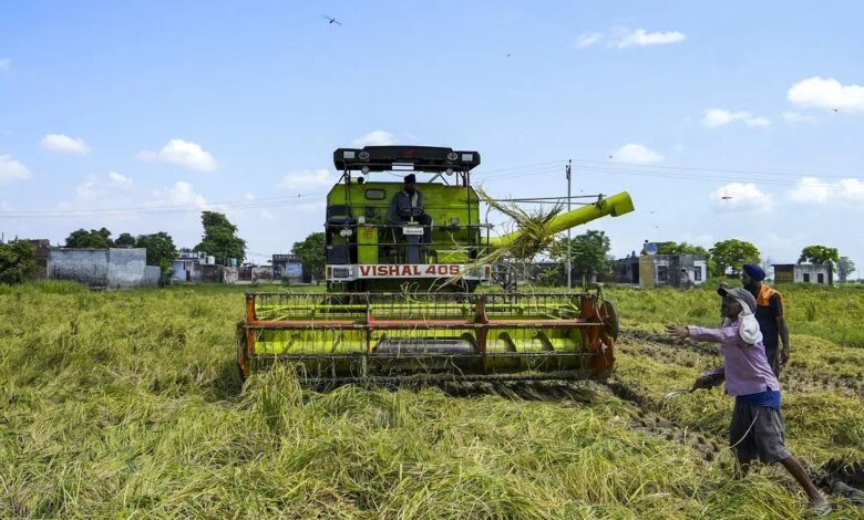 Agricultura inteligente para aprovechar la tecnología para empoderar a los agricultores indios