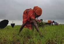 Adoptar la agricultura regenerativa para ayudar a los agricultores a desarrollar la resiliencia climática