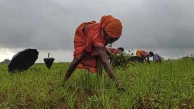 Adoptar la agricultura regenerativa para ayudar a los agricultores a desarrollar la resiliencia climática