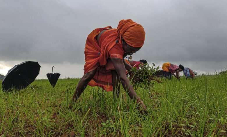 Adoptar la agricultura regenerativa para ayudar a los agricultores a desarrollar la resiliencia climática