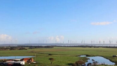El ministro y los desarrolladores entran en conflicto con la línea de tiempo para el Proyecto de viento de Robbins Island que participó en el concurso.