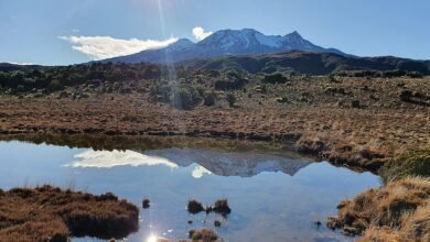 Nueva Zelanda especifica el sitio en Rotookawa para la primera perforación térmica.
