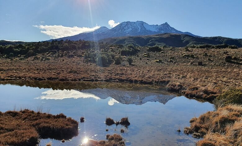 Nueva Zelanda especifica el sitio en Rotookawa para la primera perforación térmica. Nueva Zelanda especifica el sitio en Rotookawa para la primera perforación térmica.