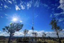 Origin busca Tick Green Federal para los proyectos de patio trasero y batería de Barnie