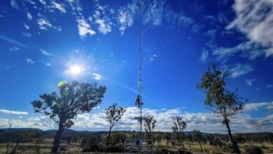 Origin busca Tick Green Federal para los proyectos de patio trasero y batería de Barnie