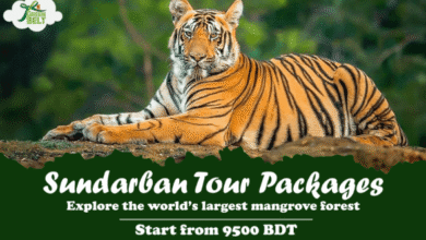 Paquetes de giras de Sundarban Asequibles de Greenbelt: ofertas de tiempo limitadas para explorar el bosque de manglares más grande del mundo