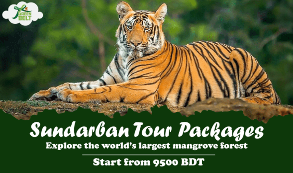 Paquetes de giras de Sundarban Asequibles de Greenbelt: ofertas de tiempo limitadas para explorar el bosque de manglares más grande del mundo