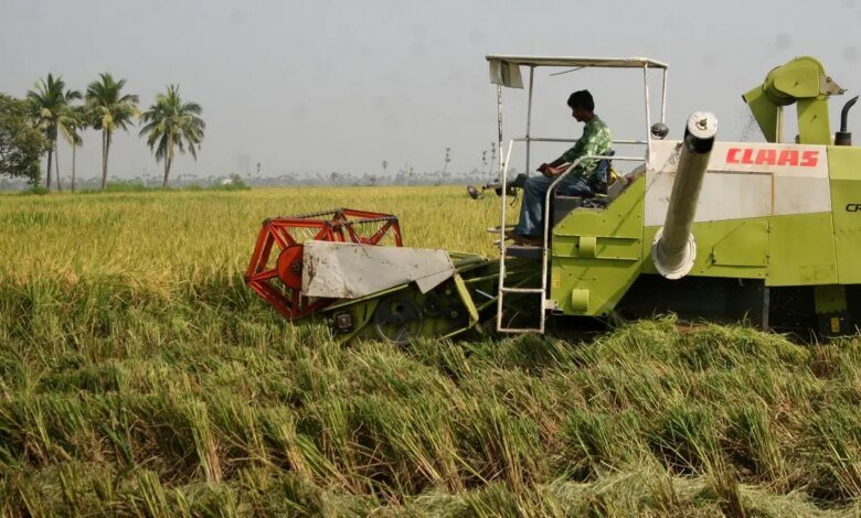 Los compradores europeos compraron más Basmati India este año porque Pakistán es costoso, dijo el propietario de la marca Tilda. Los compradores europeos compraron más Basmati India este año porque Pakistán es costoso, dijo el propietario de la marca Tilda.