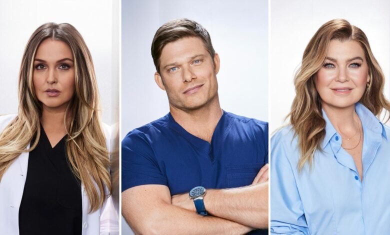 El elenco de anatomía de Gray es lo que la temporada 22 está a punto de morir sobre lo que dijo