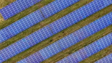 Solar, el almacenamiento está en auge, pero la política federal es costos de impulso más altos: SEIA/Woodmac Report