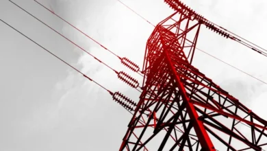 ¿Por qué todos consideran la erección de Emp?