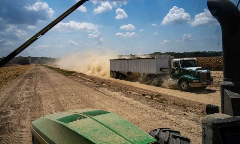 El déficit comercial de la granja estadounidense se amplía a un nuevo registro a medida que aumenta las importaciones El déficit comercial de la granja estadounidense se amplía a un nuevo registro a medida que aumenta las importaciones