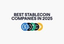 ¿Quiénes son los mejores proveedores de pagos de stablecoin en 2025?