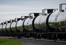 Las acciones de biocombustibles afectadas a medida que la especulación de la política de la política demanda teme