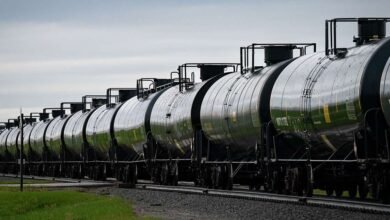 Las acciones de biocombustibles afectadas a medida que la especulación de la política de la política demanda teme