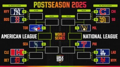 Actualizar Play -FF MLB 2025