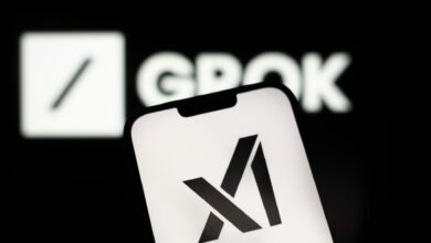 ¿Qué es el AI Grok de Elon Musk y es privado?