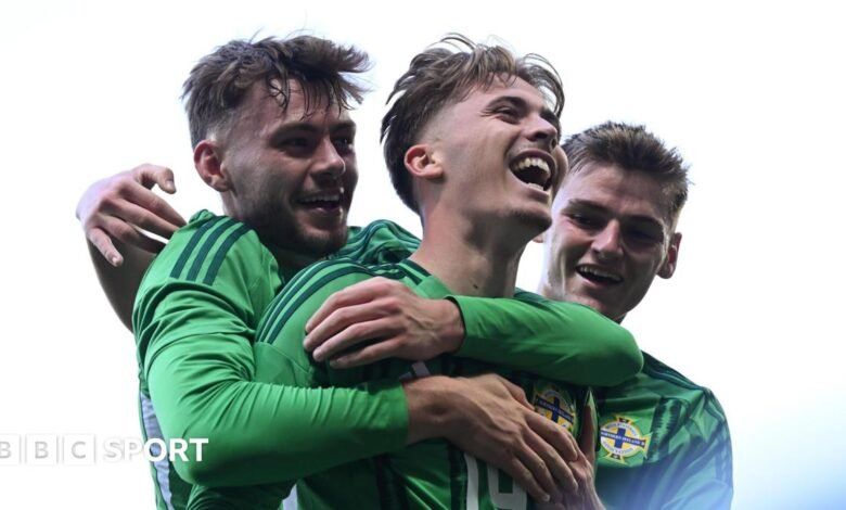 Calificador de la Copa Mundial: Nuevo en el norte, Irlanda, listo para el escenario mundial Calificador de la Copa Mundial: Nuevo en el norte, Irlanda, listo para el escenario mundial