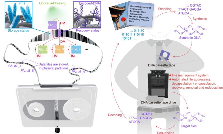 Una nueva investigación de China describe un sistema prototipo de cinta de ADN capaz de almacenamiento a largo plazo, pero las velocidades de escritura de datos lo hacen poco práctico en la actualidad