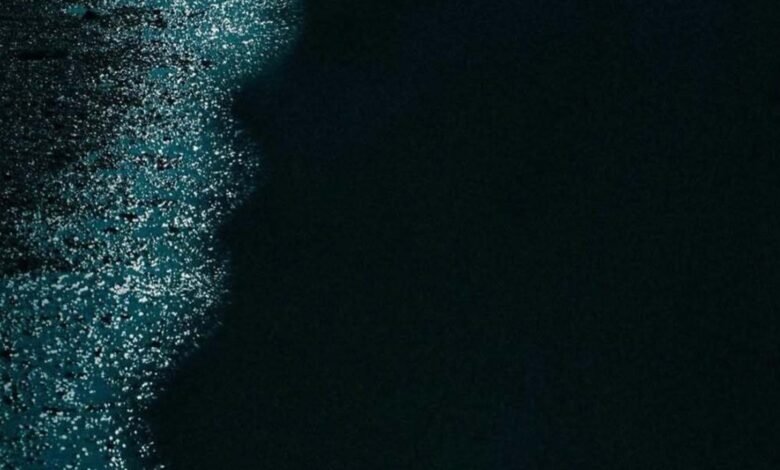 Pedir el polvo biológico articular del brillo en la oscuridad