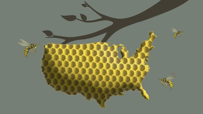 La dinámica económica son víctimas en la segunda fase de Trump.