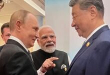 Las nuevas regulaciones mundiales de XI aún no han operado la economía mundial.
