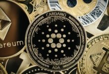 Predicción de precios de Cardano: ¿Cuál es la mejor criptografía para comprar ahora? Los analistas destacan la preventa 50X de Digitap