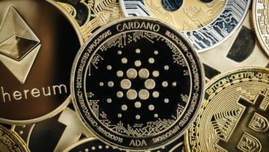 Predicción de precios de Cardano: ¿Cuál es la mejor criptografía para comprar ahora? Los analistas destacan la preventa 50X de Digitap