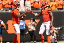 Bengals ‘Ja’mrrch Chase dio el consejo de Tee Higgins en el medio del principio:’ Si quieres la pelota, fisgando si es así ‘