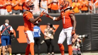 Bengals ‘Ja’mrrch Chase dio el consejo de Tee Higgins en el medio del principio:’ Si quieres la pelota, fisgando si es así ‘