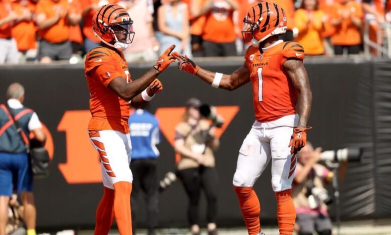 Bengals ‘Ja’mrrch Chase dio el consejo de Tee Higgins en el medio del principio:’ Si quieres la pelota, fisgando si es así ‘