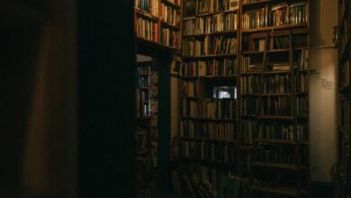 El mejor libro de terror que he leído (y ¿por qué me están aviando)?