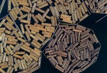 Trump establece un 10% de madera, aranceles de madera en un intento de levantar la industria estadounidense
