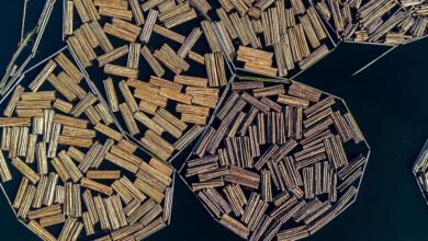 Trump establece un 10% de madera, aranceles de madera en un intento de levantar la industria estadounidense