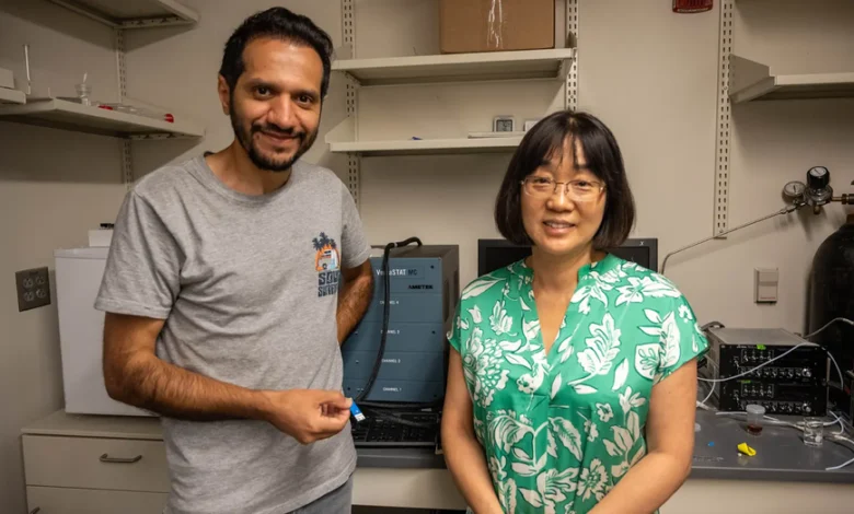 El sensor de hidrógeno ultrasensible detecta fugas en segundos, lo que aumenta la seguridad energética