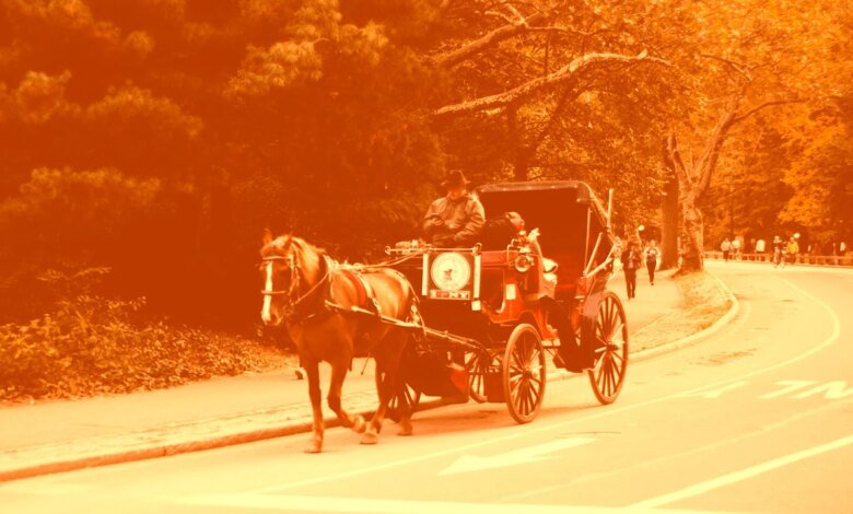 ‘El caballo me odia a verme’: Tiktokers. El virus está montando un carro dibujado con el caballo de Central Park.
