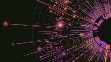 Palantir está haciendo mapas de información del gobierno. El significado de la supervisión
